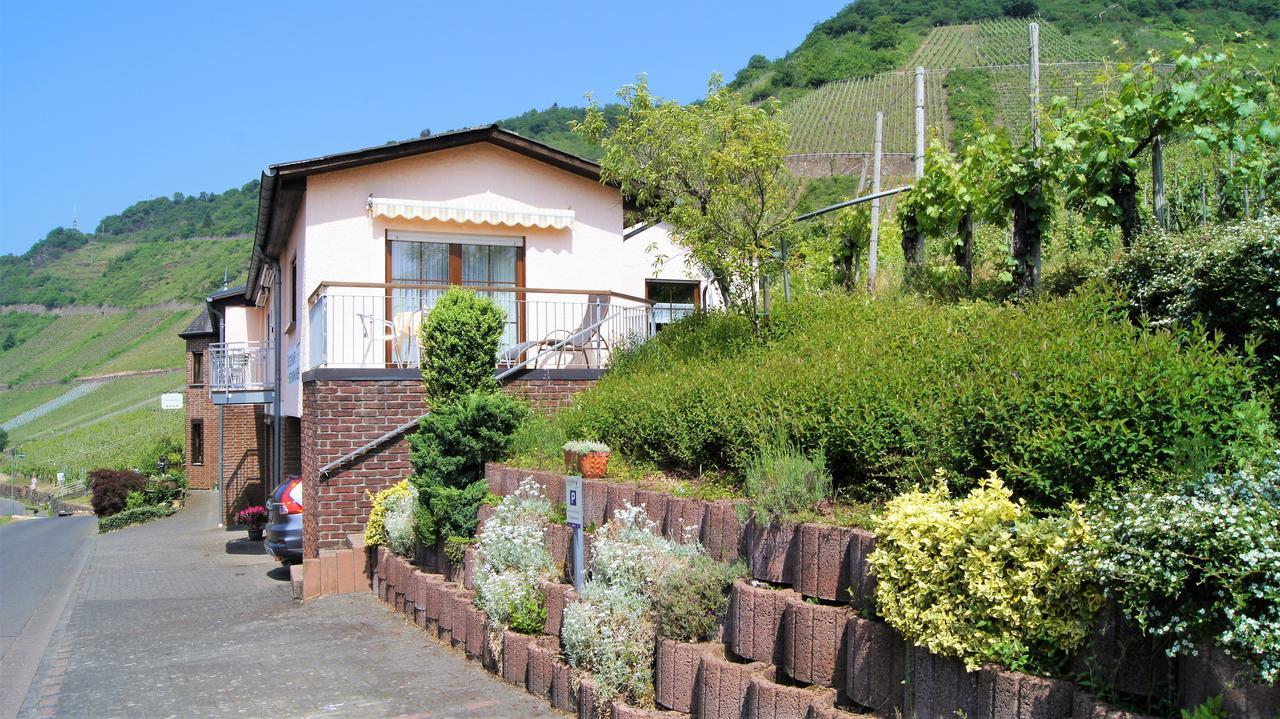 Urlaubsweingut Zecherhof Neef Екстер'єр фото