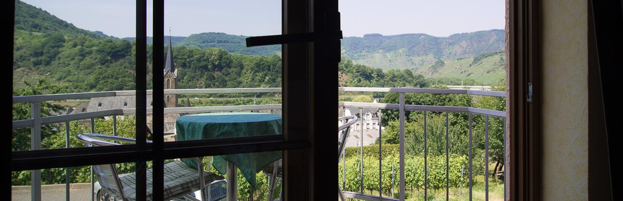 Urlaubsweingut Zecherhof Neef Екстер'єр фото